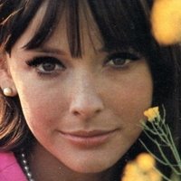Brenda Scott Nue