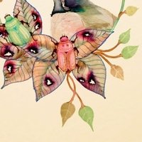 Colleen Parker Nue