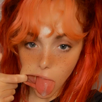 discobutterfly Nue