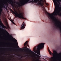 Milkwebs Nue