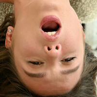 pollymodel Nue