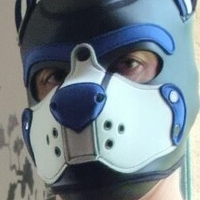 pupbuday Nue