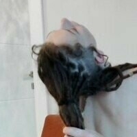 stalliondaddy Nue