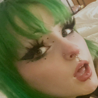 stupidelfbihhh Nue
